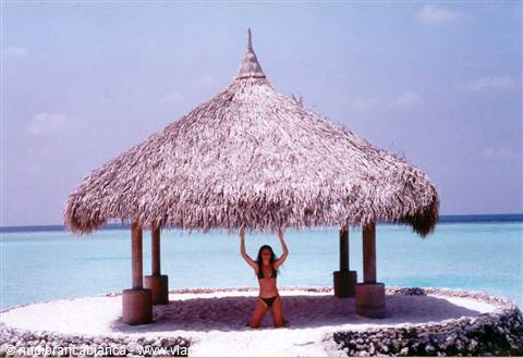 Maafushivaru