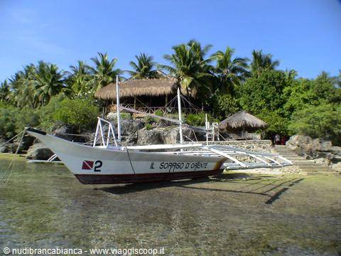 Sampaguita