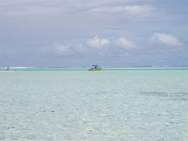 The Pink Sands