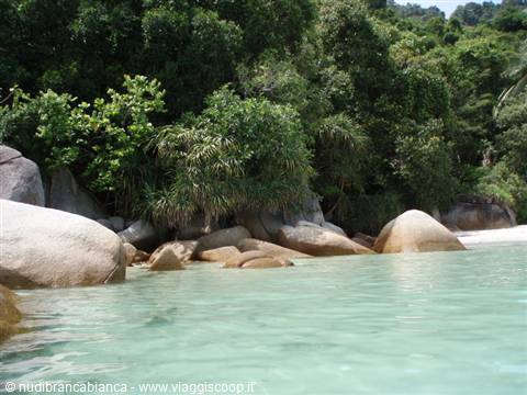 Turquoise water and large granite boulders among tropical vegetation