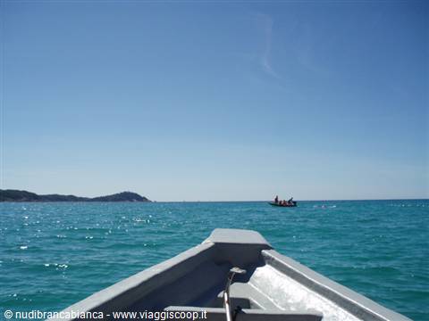 Boat trip around the island