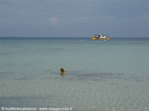 Low tide in front of the Arwana