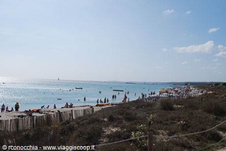 Crowded beach with swimmers on pale sand and Mediterranean scrub in foreground