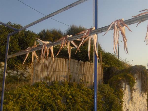 Aghios Nicholaos