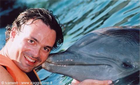 Man in orange life vest hugs a dolphin in blue water