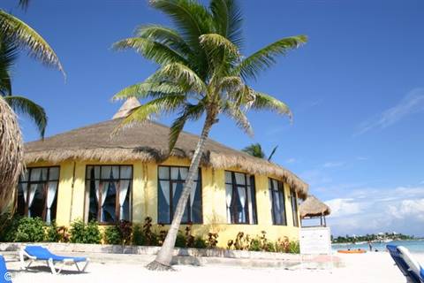 Round thatched-roof beach bar on white sand between palm trees and loungers