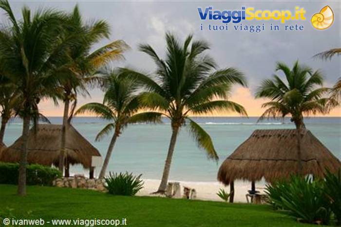 Palm trees and thatched palapas on the Caribbean beach of Riviera Maya