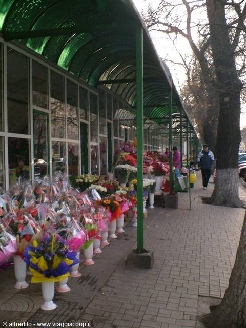 Flower shop under green canopy, wrapped bouquets on white vases along the sidewalk