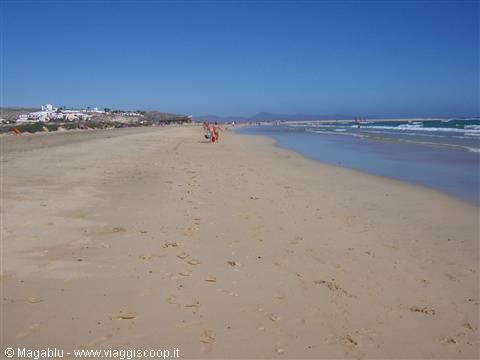 The splendid beach of Jandia