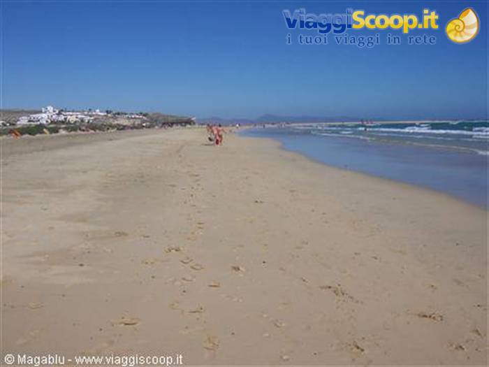 The splendid beach of Jandia