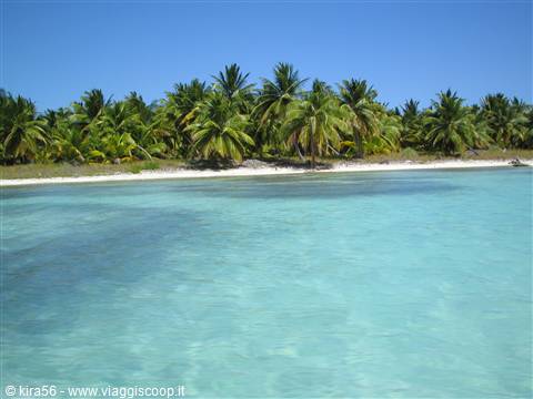 Dominican Rep.