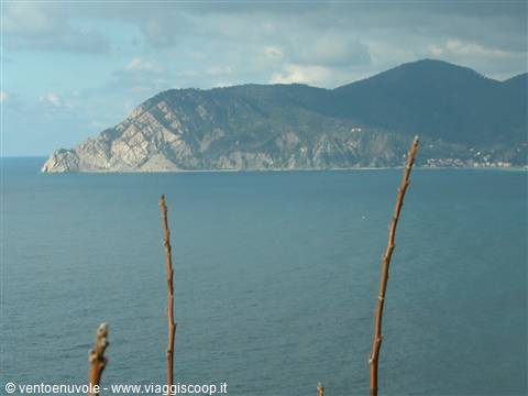 Dry branches over the blue sea in front of Capo Noli rocky coast