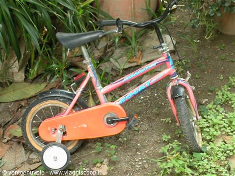Pink children's bike with training wheels, abandoned among plants and soil