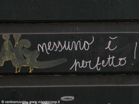 White graffiti on dark shutter reading: nobody is perfect