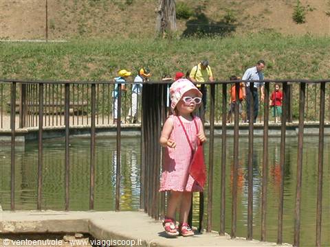 Little girl in pink hat and sunglasses beside a pond fence