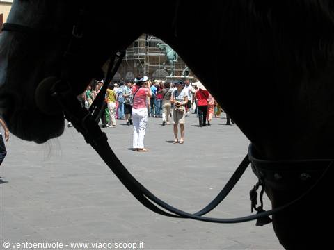 Horse head in close-up frames tourists walking through a busy square