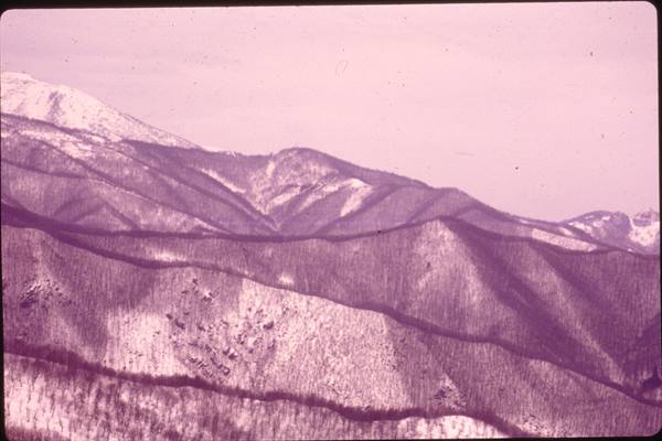 Snow-dusted mountains with bare woods under a pale sky