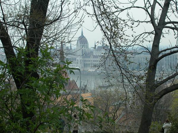 Budapest Parliament through bare branches above the foggy Danube