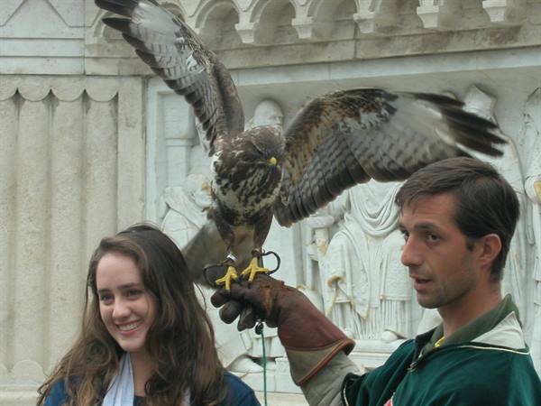 Falconer with hawk spreading wings on leather glove beside smiling woman, before carved marble reliefs