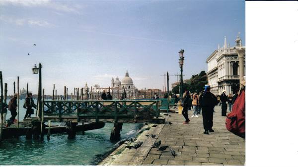 Venice waterfront with green footbridge, moored gondolas and Santa Maria della Salute behind