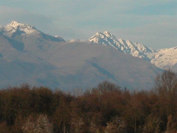 the alps from lake Candia