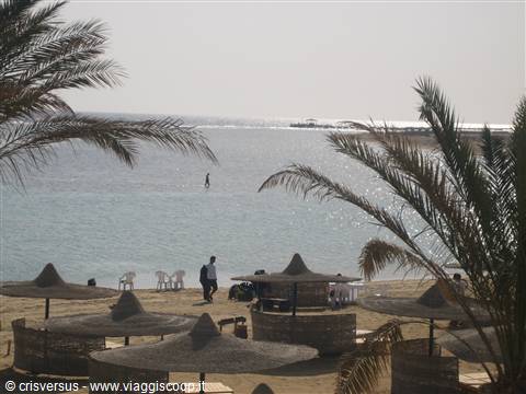 Straw umbrellas and palm trees on a Red Sea beach