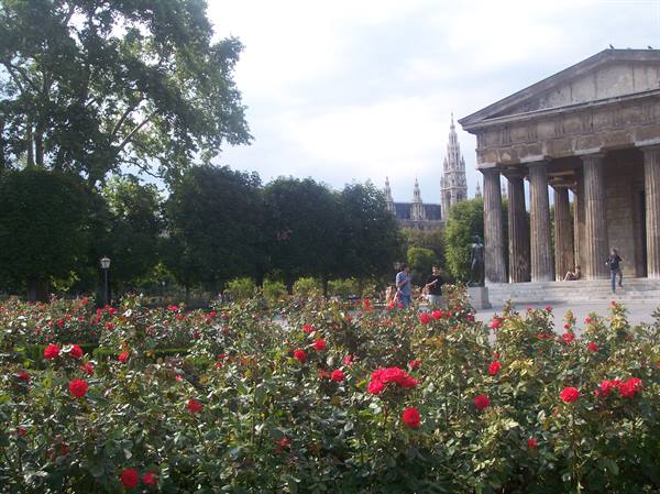 rose garden