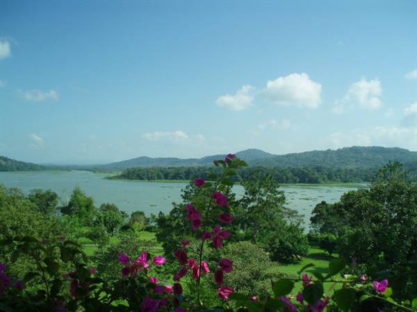Chagres river