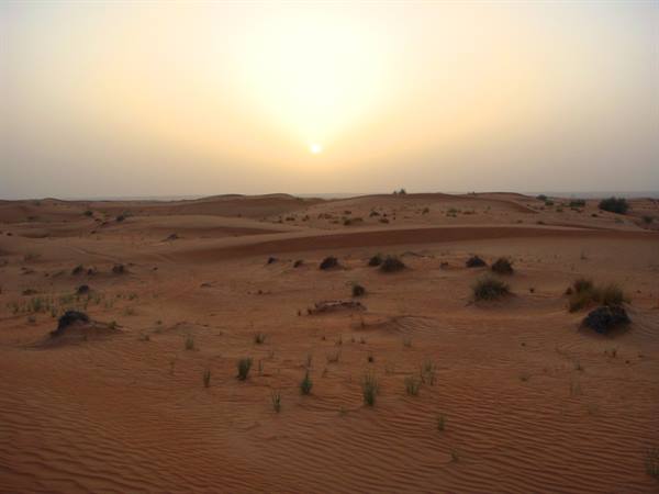 Dubai Desert