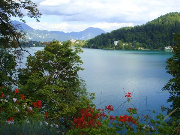 Bled lake from the Bled isand