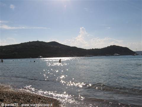 Swimmers in sparkling water in front of green hills, pebble beach