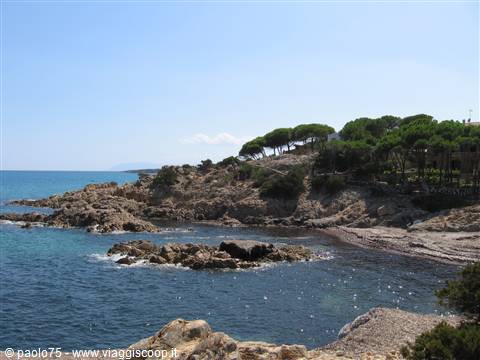 Granite rocky shore with maritime pines and turquoise sea, Costa Smeralda