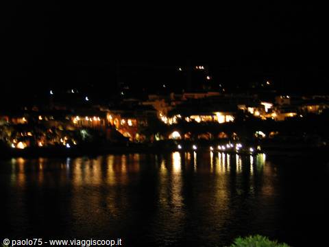 Night lights of the seaside village reflect on dark water