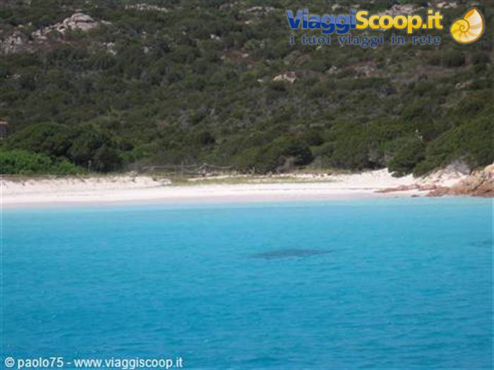 The Pink Beach of Budelli: rose-tinted sand between Mediterranean scrub and turquoise water