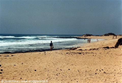 beach in corralejo