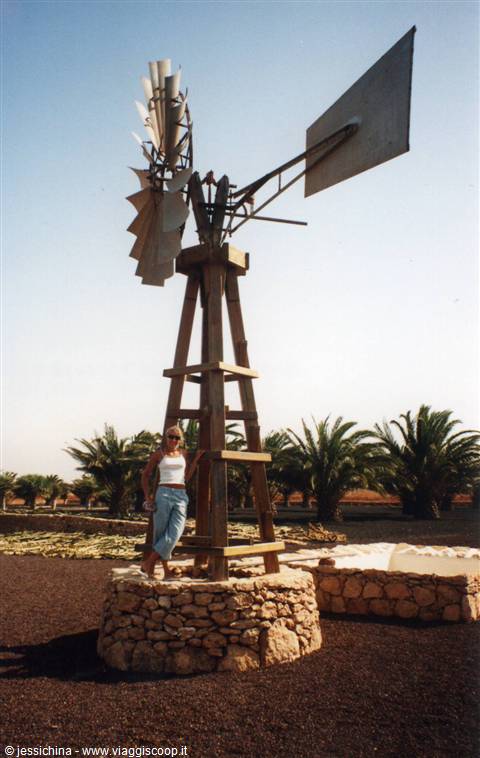 windmill in antigua