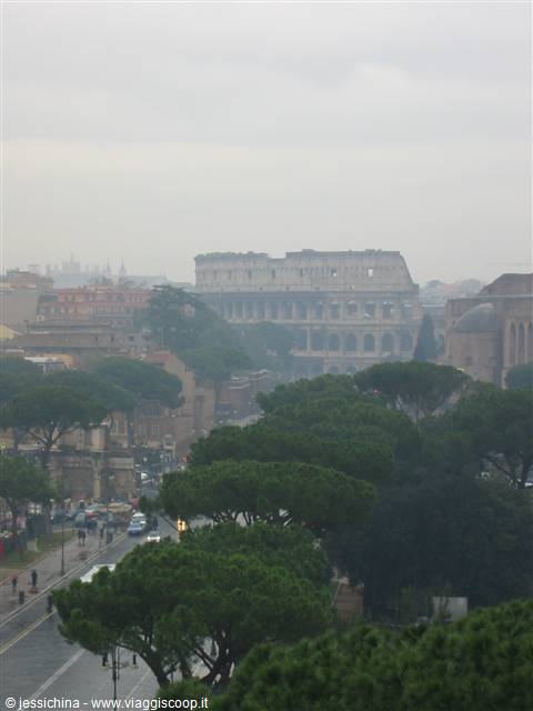 The Colosseum fades into the mist above Rome's stone pines