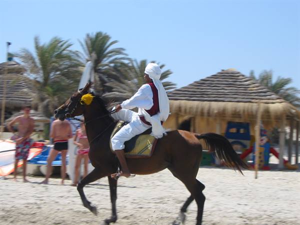 tuareg race on the beach