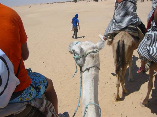 Tourists riding camels across sand dunes, guide in blue walking ahead
