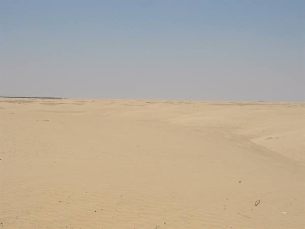 the gates of the sahara in douz