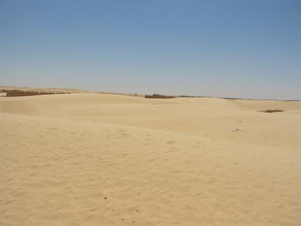 the gates of the sahara in douz