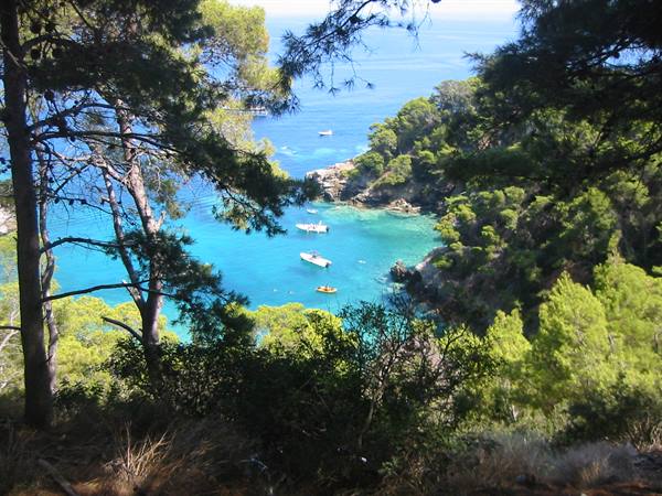 cala spido
