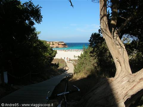 cala saona