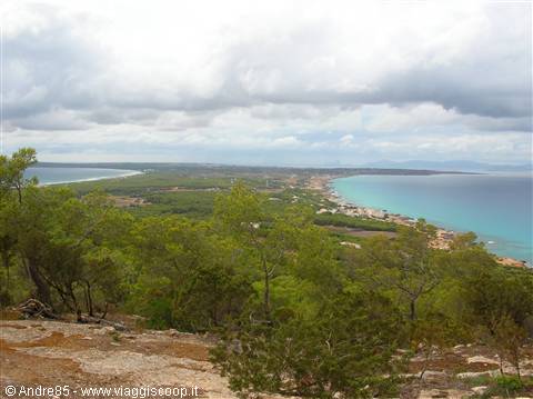 Es Cavallet beach in Ibiza, pines in front, turquoise sea under clouds
