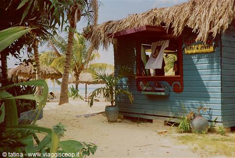 blue wooden beach shack with thatched roof on sand among palms