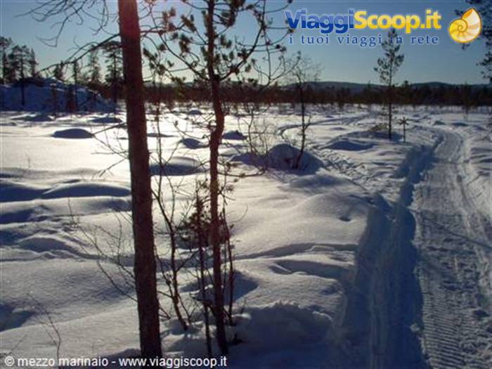 towards Pjelpajarvi