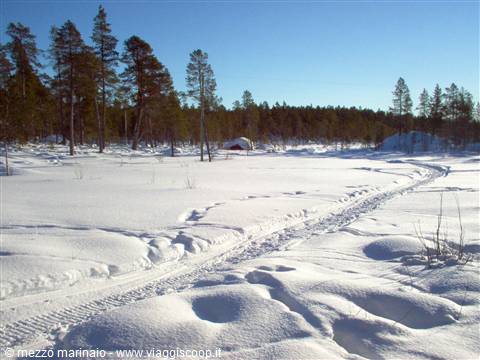 snow and sun
