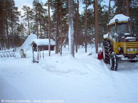 Yellow Valmet tractor covered in snow among pines, wooden cabin and reindeer