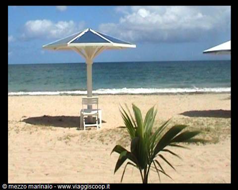 caribbean