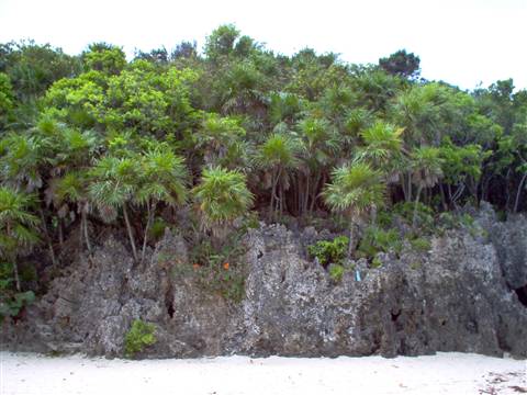 coast